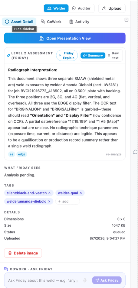 Friday NDT asset detail panel with assessment, summary, raw text, tags, and Ask Friday